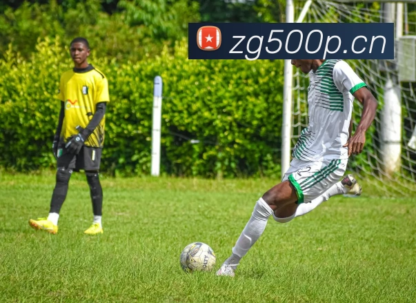 三亿体育app官方下载入口平台生态图